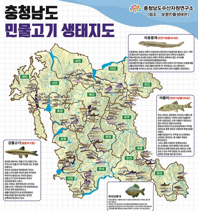 청양 지천, 멸종위기 민물고기 ‘천국’