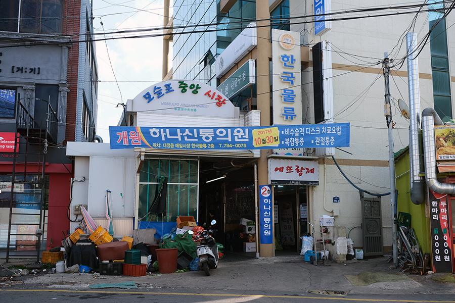 [제주여행] 볼트 EV와 함께 한 모슬포항 둘러보기