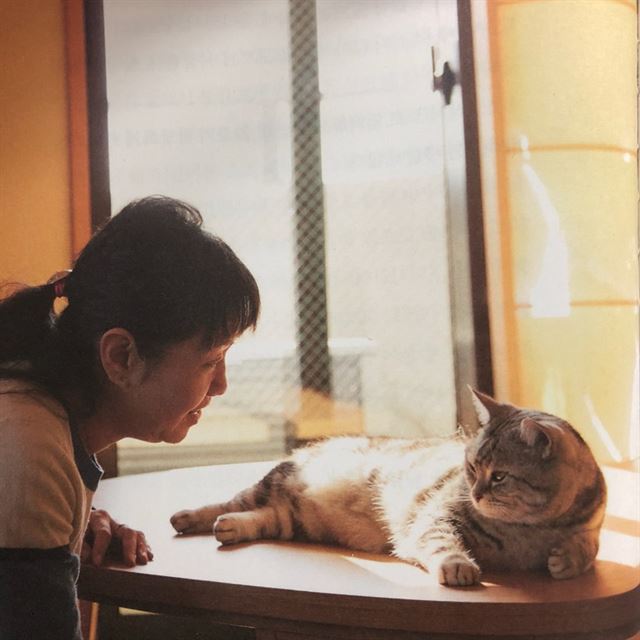 “매일 놀라고 배운다, 고마워! 고양이 토토”