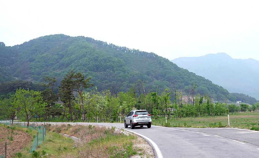 [시승여행] 닛산 엑스트레일과 찾은 운산리 구라이골 캠핑장