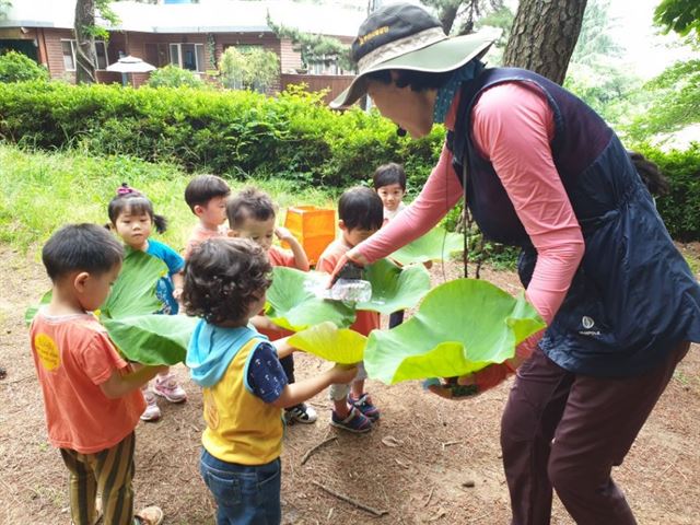 부산 도심 숲 공원, 자연 체험 산실(産室)이 되다