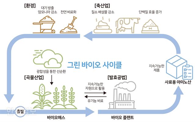 [그렇구나! 생생과학] 우리가 먹는 식품 속 과학 ‘그린 바이오’