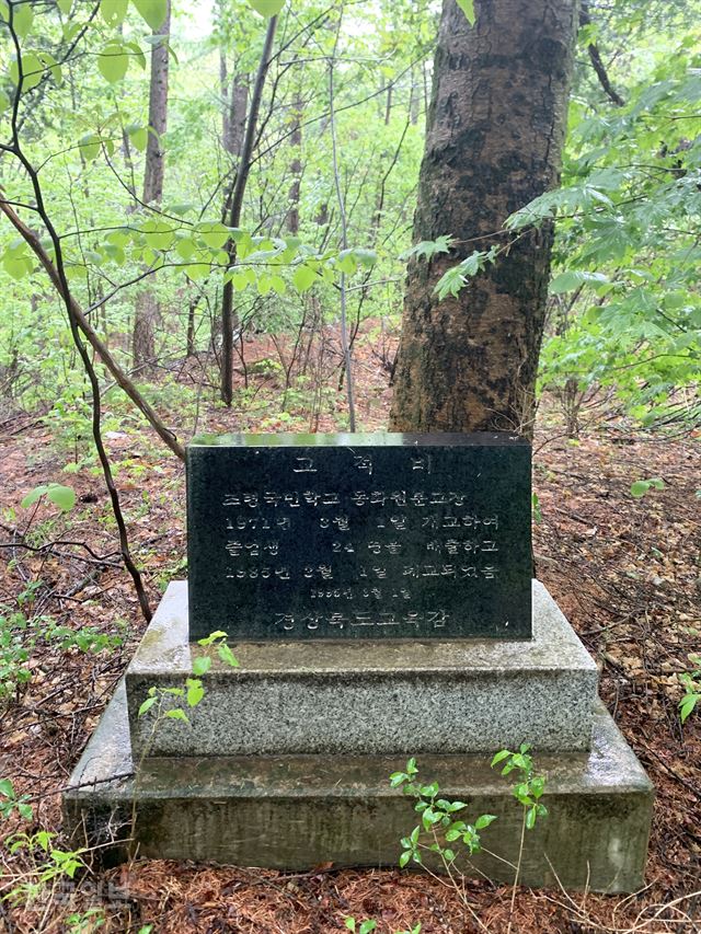 봄비 머금은 푸르름, 부슬부슬 옛이야기… 느릿느릿한 운치