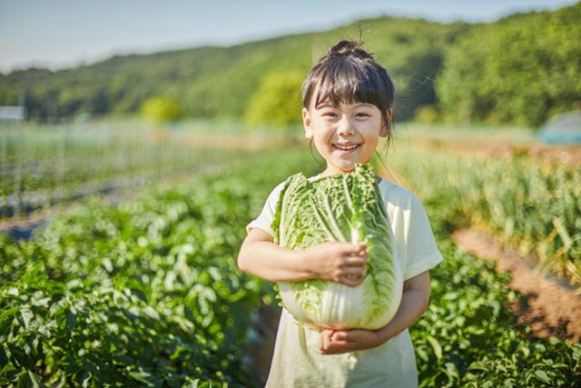 명품 피서지 엄지척 마을에서 힐링하세요