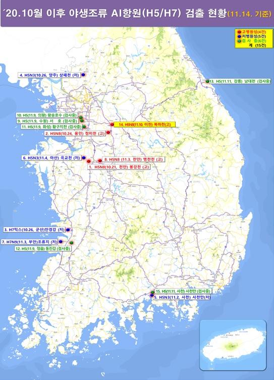 경기 이천 AI확진된 야생조류 고병원성 항원 검출