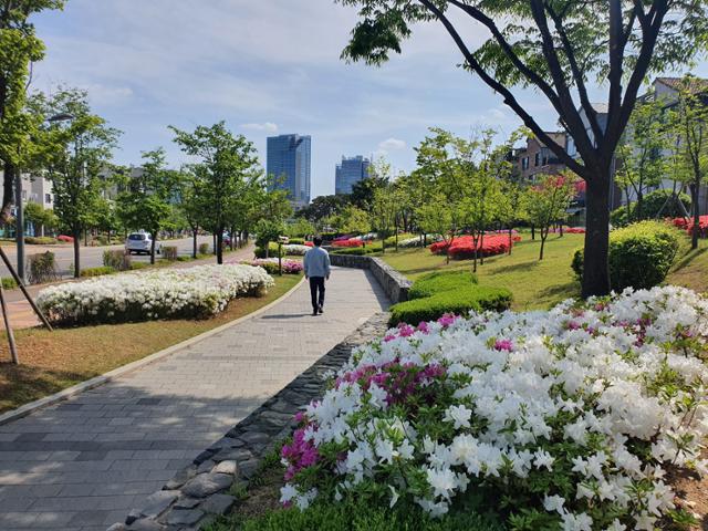 [걷고 싶은 길, 가고 싶은 거리] 변두리 시골마을길의 반전...카페 뷰티거리에 앉으면 유럽