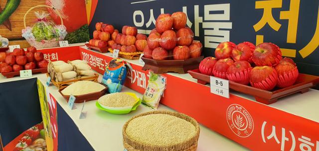 대구 두류공원·엑스코서 농축산물 직거래장터 열려
