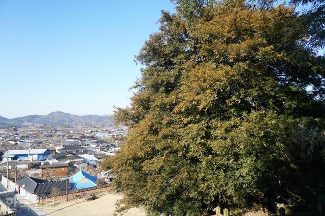 와보랑께, 500년 군사 도시에 표표히 떠난 하멜의 발자국 [자박자박 소읍탐방]