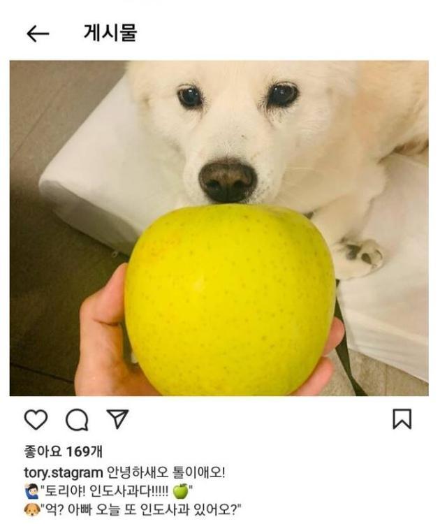 트위터서 부활한 토리아빠 윤석열 계정... 개 사과 인스타 폐쇄 석 달만