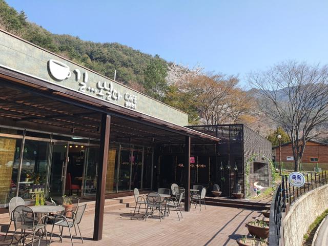봉화군, 물야저수지 ·오전약수터 엮어 관광명소 조성