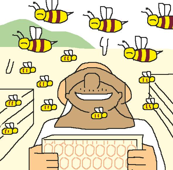 달달한 꿀향이 솔솔… 경북 양봉농가, 3년 만에 꿀풍년