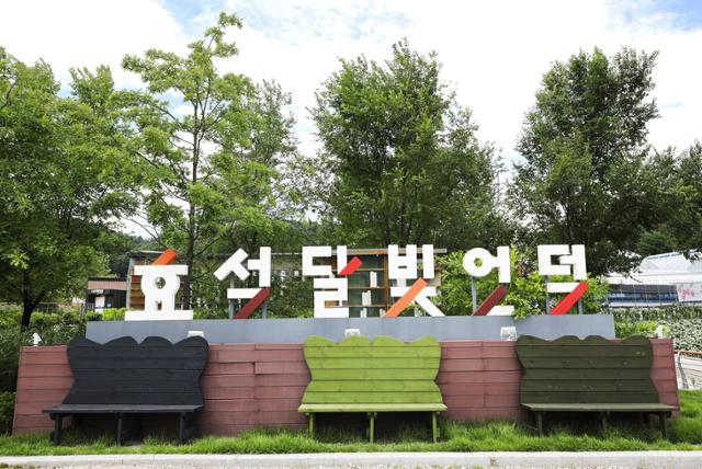 허생원의 그리움과 애수... ‘메밀꽃 필 무렵’ 서정 속으로 [박준규의 기차여행, 버스여행]