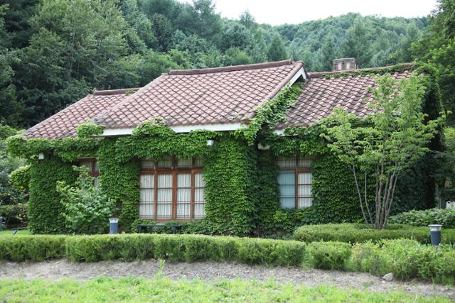 허생원의 그리움과 애수... ‘메밀꽃 필 무렵’ 서정 속으로 [박준규의 기차여행, 버스여행]
