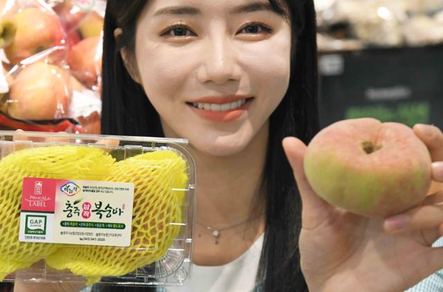 납작복숭아, 신비복숭아...복케팅 열풍까지 부는 지금은 복숭아 시대