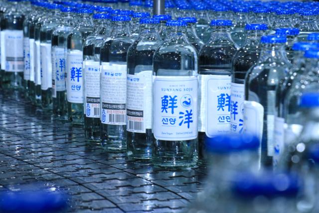 [르포] 술은 술다워야…14.9도 선양소주, 도수 낮추고도 술맛은 어떻게 살렸나 [한국 소주 100년]