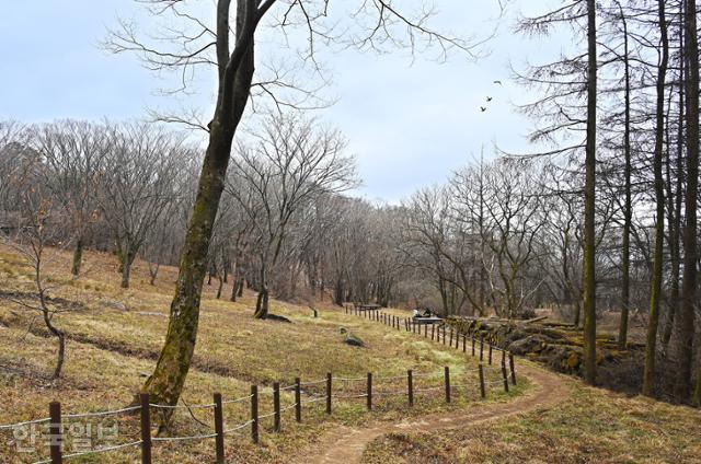 [느린 풍경] 800m 산속 사라진 산성마을... 억새 명소로 부활한 순교자 마을