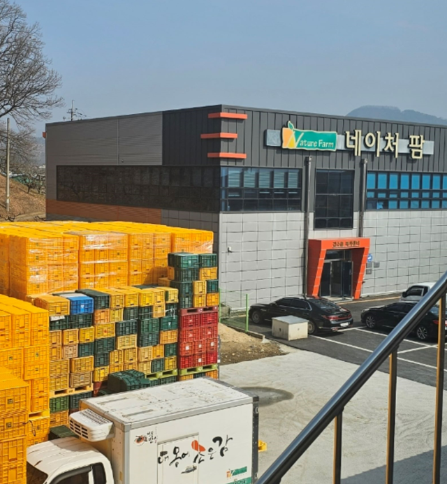 청도 네이처팜, 지역농가와 고품질 청도감 생산 박차