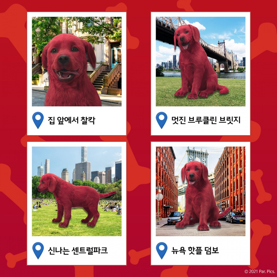 클리포드 더 빅 레드독, 슈퍼댕댕이 사이징 AR툴 오픈