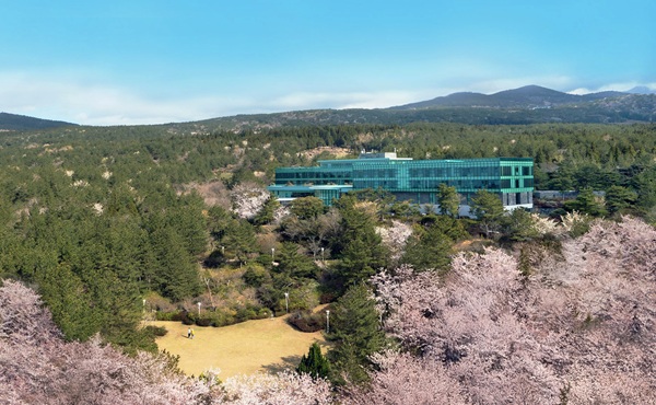 위(WE)호텔제주, 다채로운 봄 프로모션 이벤트