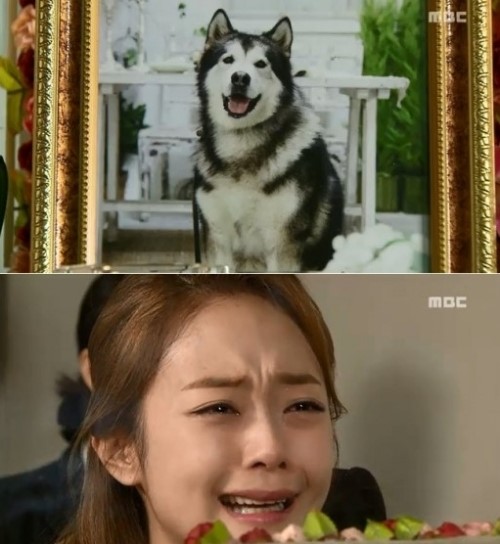 오로라공주 141회 떡대 죽음에 전소민 오열 다음 생애는 사람으로 태어나