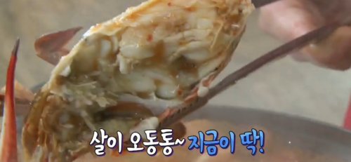 생방송 오늘저녁 충남 태안 꽃게요리 맛집...굴게탕·해물탕·게국지·게장 일품