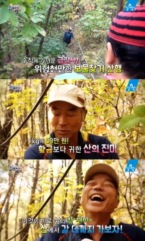 갈 데까지 가보자 안동 청량산 정정섭 씨, 15만 평 혼자 관리하며 송이버섯 채취