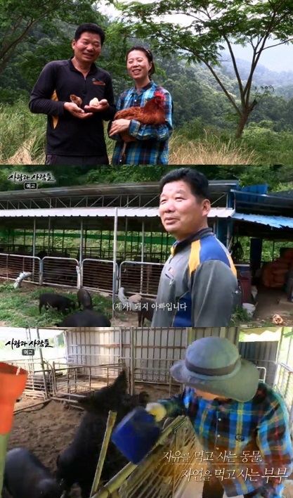 사람과 사람들 경남 산청 산골 정육점 차린 부부…돼지는 일부 방목, 자식은 완전 방목