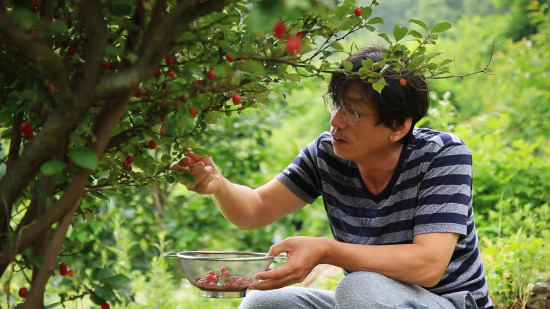 사람과 사람들 잘나가던 CEO에서 숲 생태전문가로 변신한 김용규 씨…숲에 깃들다