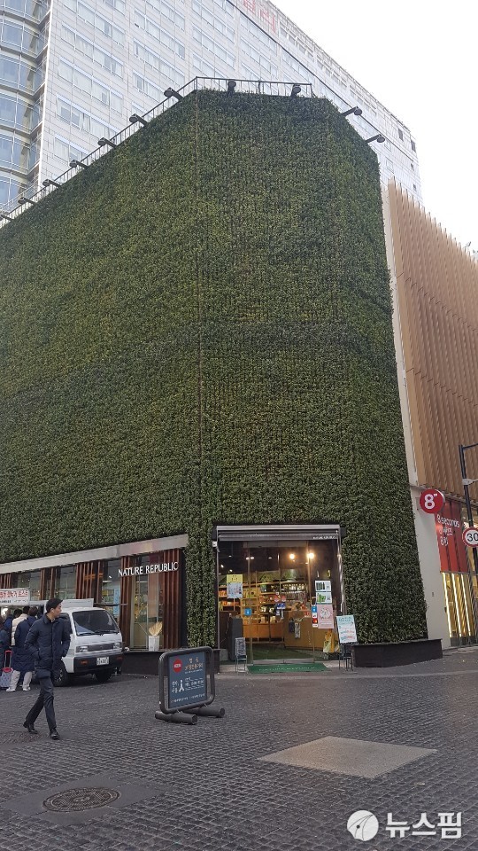 [르포] 보유세 부담 전가요? 명동 보단 강남·이태원 상권 문제 아닌가요