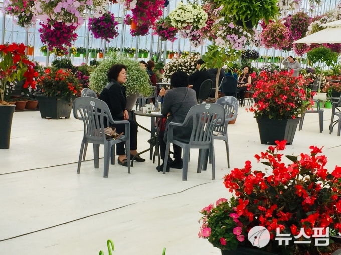 ‘광주 힐링플라워스마트팜’, 힐링공간으로 시민 호응