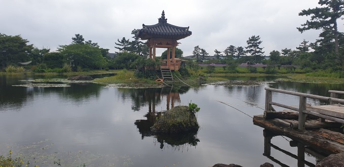 [인터뷰] 김동규 제주 노리매 회장 매화 키웠더니 고부가가치 관광지 됐네요