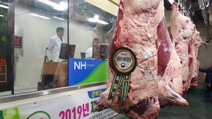영암 서승민 농가 한우 농림축산식품부장관상 선정