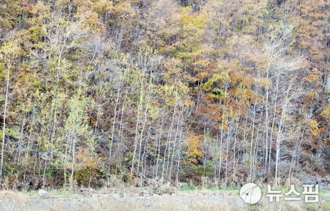 대구·경북 기온 뚝 떨어져...상주·문경·영주 한파주의보
