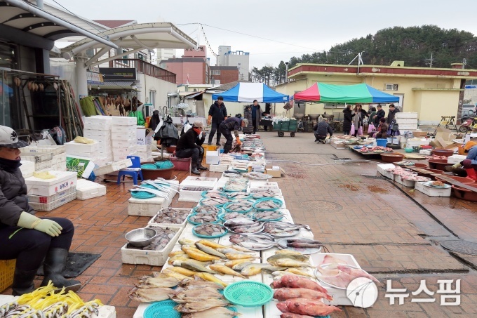 [르포] 설 명절 앞둔 울진 대목장에 가보니…