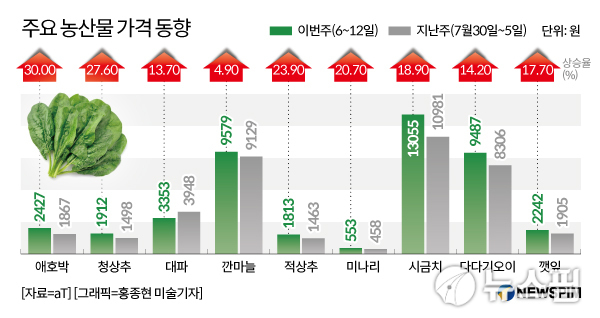 오르락 내리락 폭우에 신선식품 급등세...유통街 추석 대목인데 어쩌나