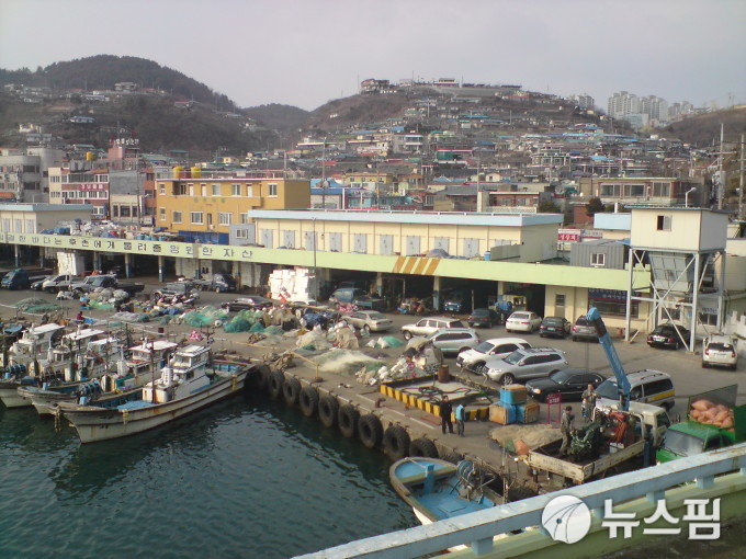 동해시, 수산물 비대면 판매 배송비 지원