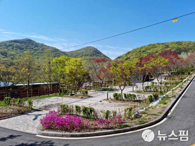 선운산야영장