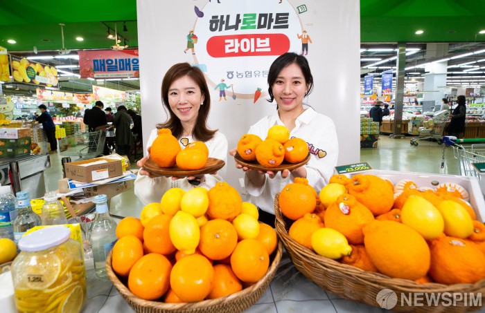 청청 제주산 만감류 라이브커머스로 만나보세요