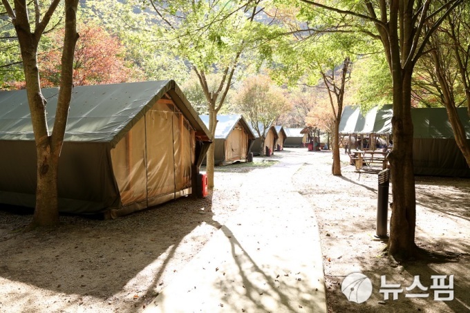 소백산 남천야영장 내달 1일 개장...예약통합시스템 예약