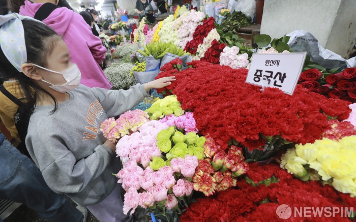 카네이션 바라보는 어린아이... 할머니 꽃 사러 왔어요!