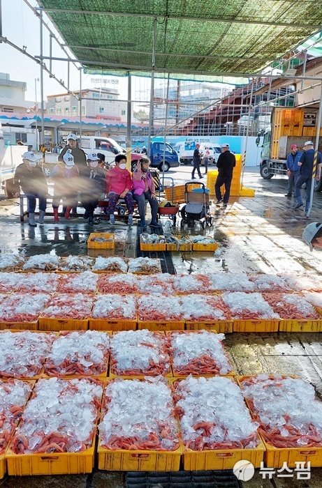태풍 생채기 딛고 활기 되찾는 울진 죽변항
