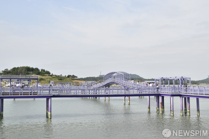 보라빛 세상