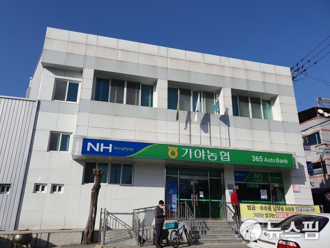 합천가야농협 조합장 흑역사 재현되나…당선자 후보자격 논란