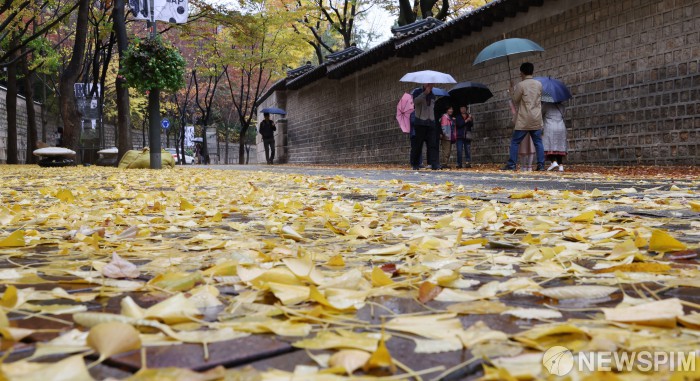 가을의 끝자락에서... 덕수궁 돌담길 산책