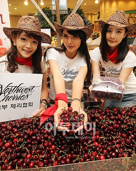 [포토]웰빙푸드 달콤한 체리 맛보세요!