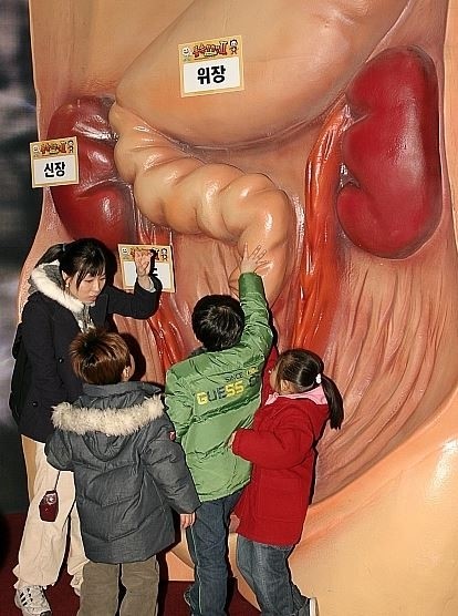 우리 몸의 기생충 유기농 채소가 원인?