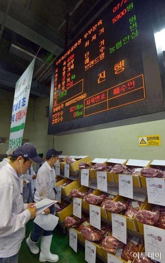[포토]국내최초 한우 부분육 경매장 출범
