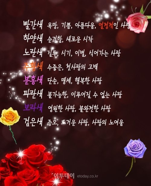 [짤막카드] 오늘은 로즈데이, 장미꽃 색깔에 따라 다른 꽃말 아세요?