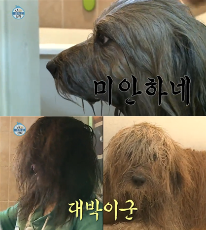 ‘나 혼자 산다’ 황석정, 애완견 대박이와 같은 헤어스타일 눈길…머리빗도 공유