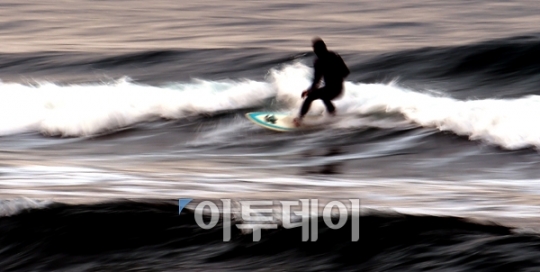 [포토]Autumn Surfer